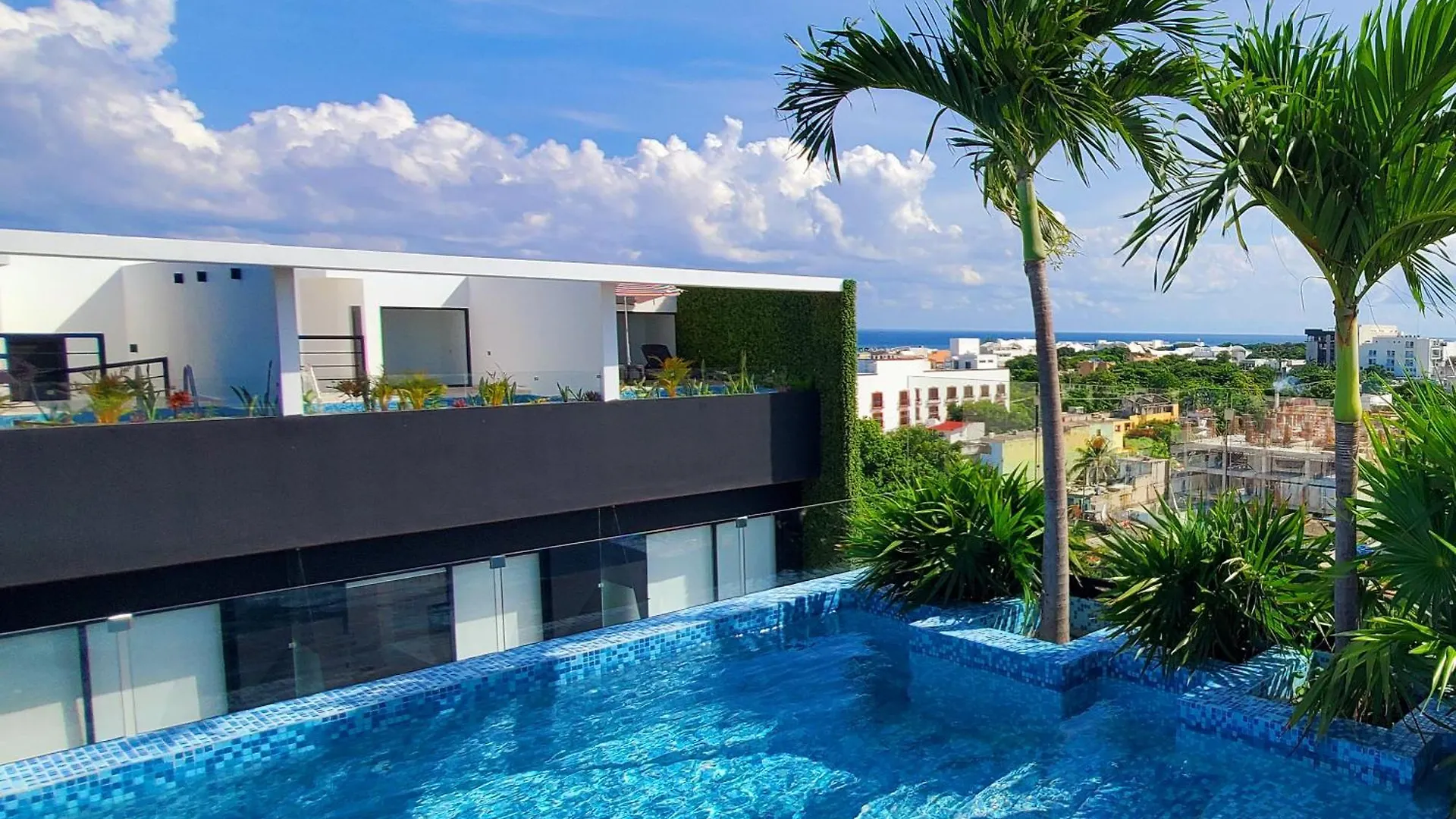 Stylish Loft 4 Blocks From 5 Ave Apartment Playa del Carmen 0*,  Mexico