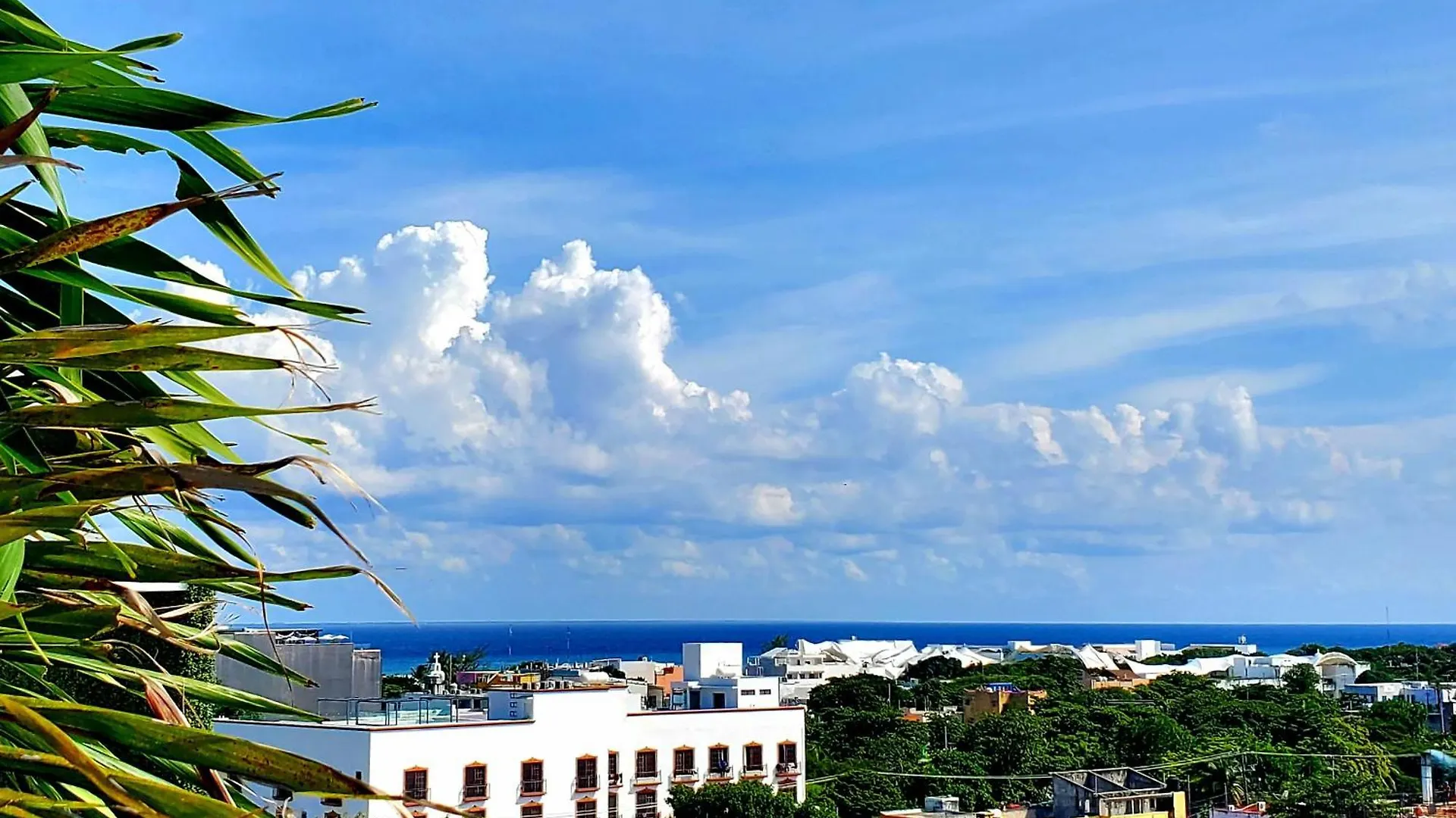 Stylish Loft 4 Blocks From 5 Ave Apartment Playa del Carmen